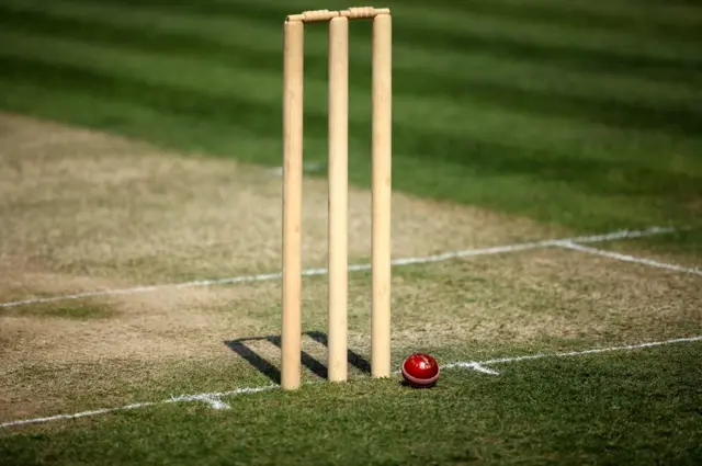 ક્રિકેટ