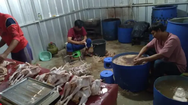 napiter, teroris, mantan teroris