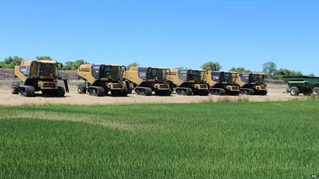 ਤਲਹਾ ਰਹਿਮਾਨ ਦੇ ਖੇਤ