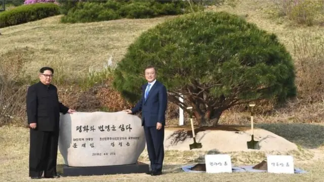 رهبران دو کره در کنار درخت صلح و دوستی