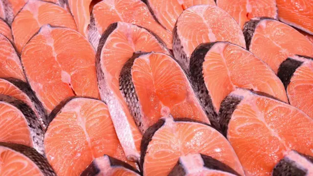 Salmon