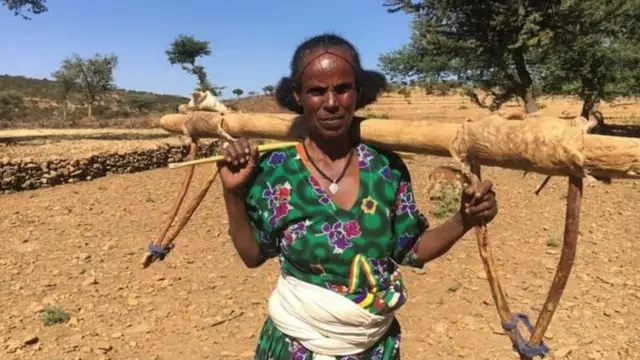 "ኣርዑተይ ፀይረ ገስጊሰ ናብ ግራተይ"