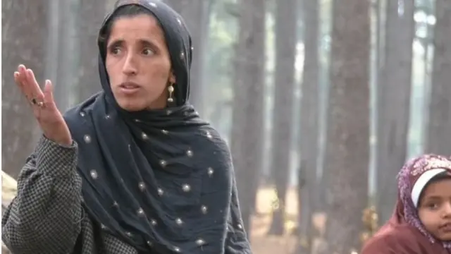 काश्मीर, कलम 370, वन अधिकार, भाजप, नॅशनल कॉन्फरन्स