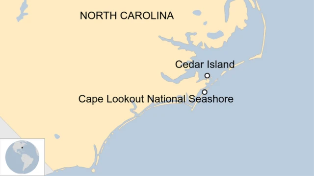 Ikarita, Carolina y'amajyaruguru