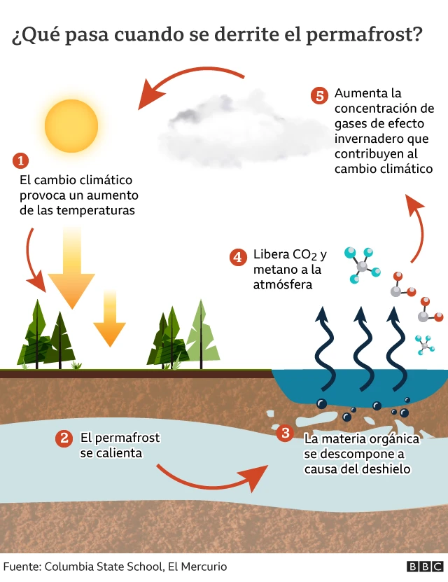 Infografía que muestra qué pasa cuando se derrite el permafrost