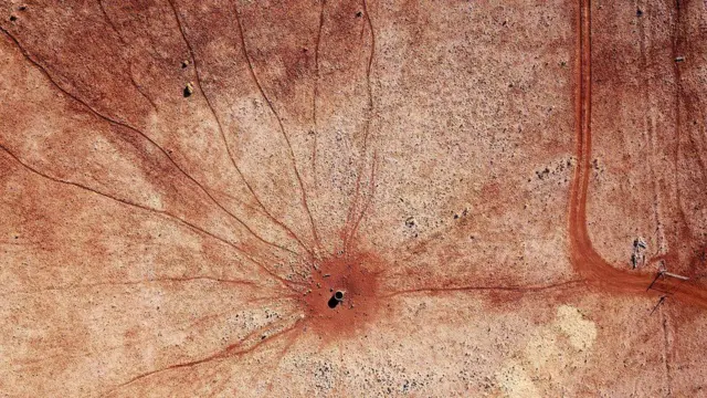 호주 뉴사우스웨일스주