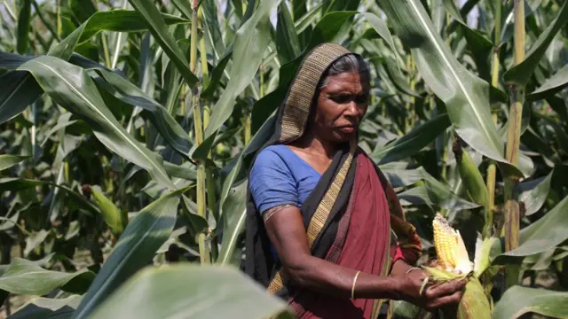 Ular notanish odamga minaj berishdi