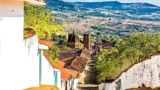 Баричару называют одним из красивейших городов Колумбии. Раз в году он пустеет: все его жители уходят на охоту за муравьями