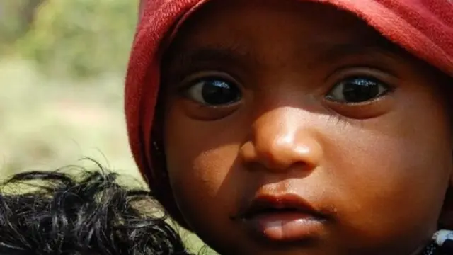 "பழங்குடிகளை வெளியேற்றினால் காடு அழியும்" - தமிழகத்தின் நிலை என்ன?