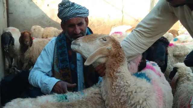 પશુપાલક