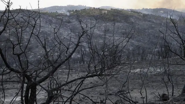 الجزایر کې اور