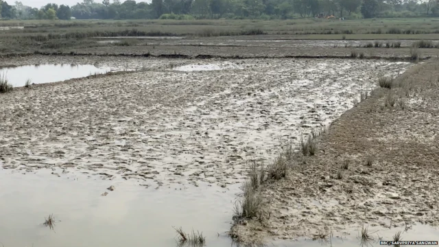 बिहार किसान