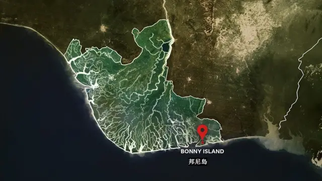 尼日爾三角洲地圖