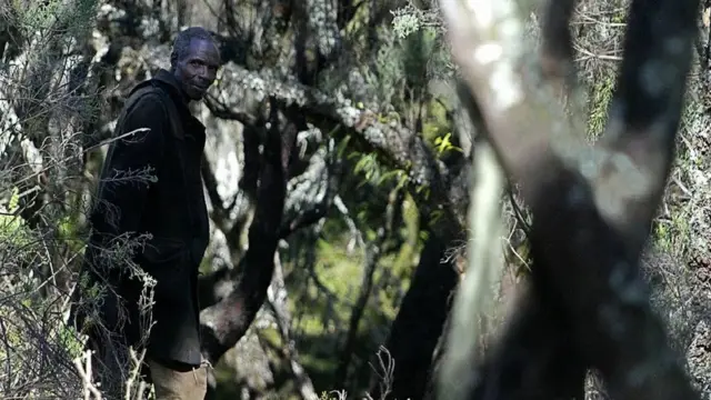 Les anciens de la communauté Ogiek se souviennent de la façon respectueuse dont ils ne prélevaient que ce dont ils avaient besoin dans la forêt