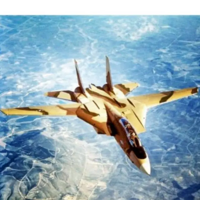 روز ۲۰ بهمن ۱۳۵۴، نخستین گروه از هواپیماهای اف-۱۴آ تامکت تحویل گرفته شدند که در این تصویر دیده میشود. این جنگنده رهگیر نسل چهار در زمان خود کامپیوتر پرنده نامیده میشد