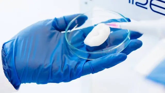 Ухо, напечатанное Cellink