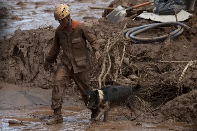 Cão durante busca por desaparecido7games jogos com apkBrumadinho