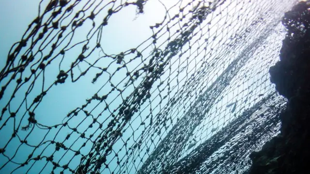 သန္တာကျောက်တန်း