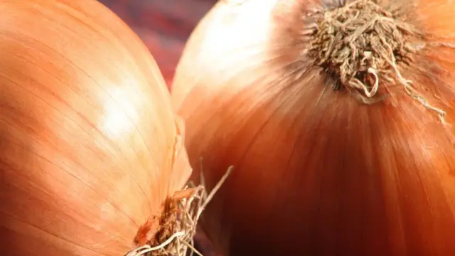 'ஆம்லெட்' விற்பனையை நிறுத்திய உணவகங்கள்: இதுதான் காரணம்