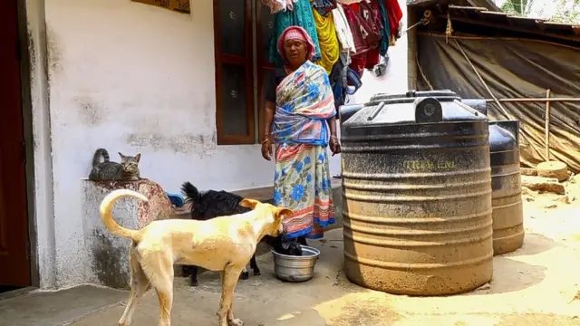 நஞ்சம்மா கால்நடை வளர்ப்பின் மூலம் குடும்பத்தை நடத்தி வருகிறார்.