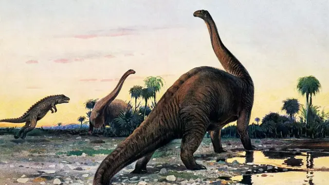 પ્રતીકાત્મક તસવીર