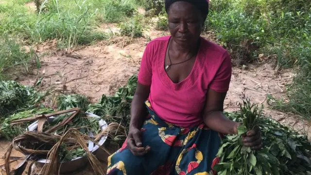 Nwaanyị na-akwa akwụkwọ nri