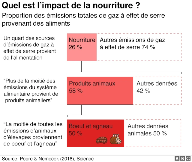 Impact de la nourriture