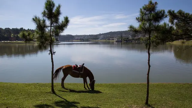Xuan Huong lake, Da lat