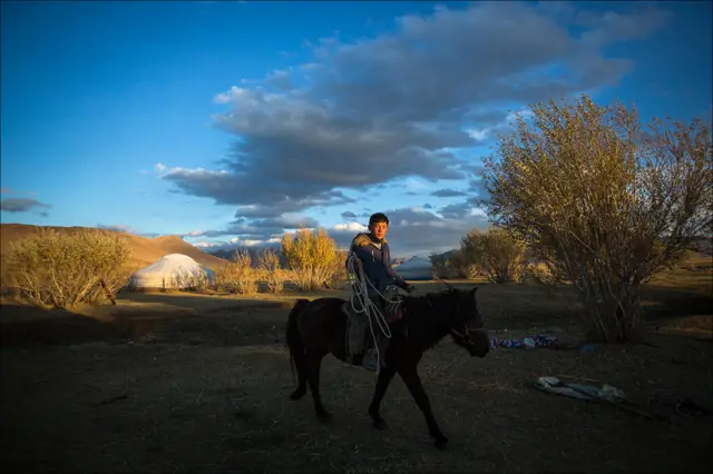 Охота с золотым орлом