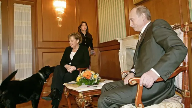 Koni, el Labrador de Putin, se acerca a Merkel en el encuentro entre ambos líderes.