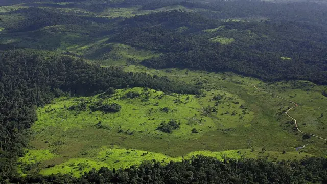 Desmatamento na Amazônia