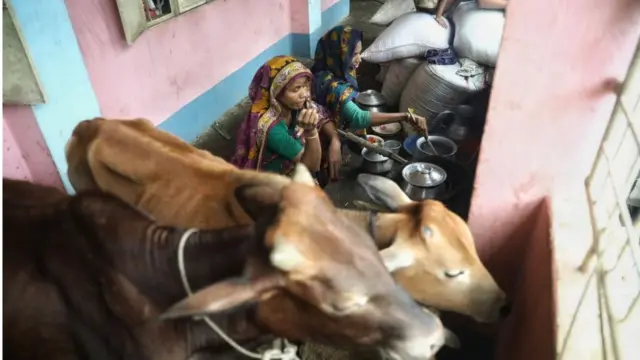 মানুষ আর গবাদি পশু পাশাপাশি অবস্থান করছে আশ্রয় কেন্দ্রগুলোতে।