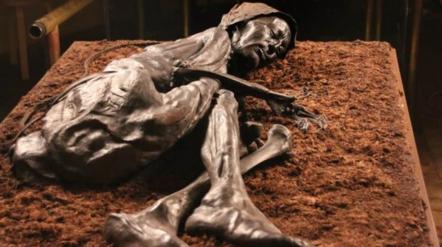 มัมมี่นอนขดตัว