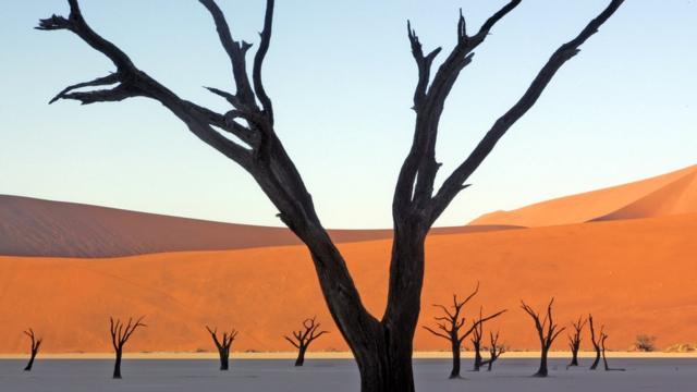 納米比亞沙漠