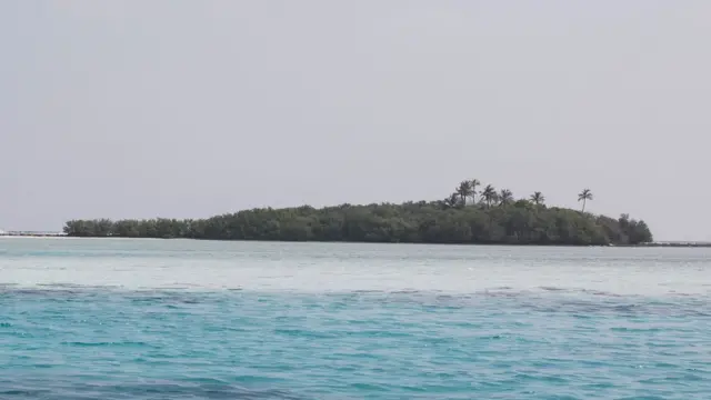 Тропический остров