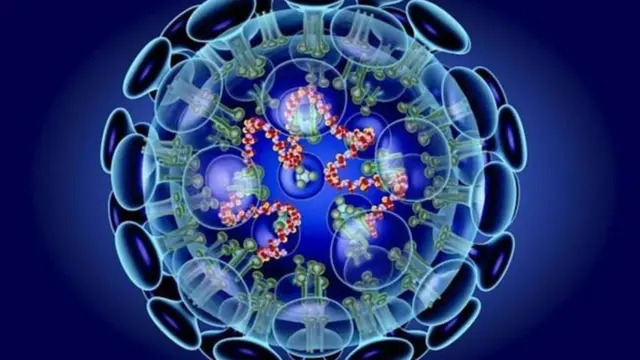 Ubu bwoko bushya bwa coronavirus bwahawe izina rya Covid-19 buri mu bwoko bwa za virus, udukoko duto cyane tutaboneshwa amaso, bita corona