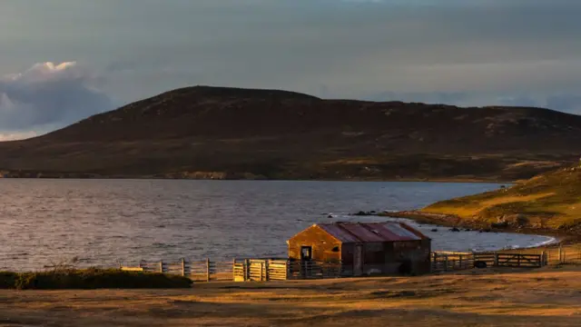 फॉकलैंड