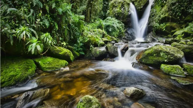 Vodopadi u Nacionalnom parku Rvenzori