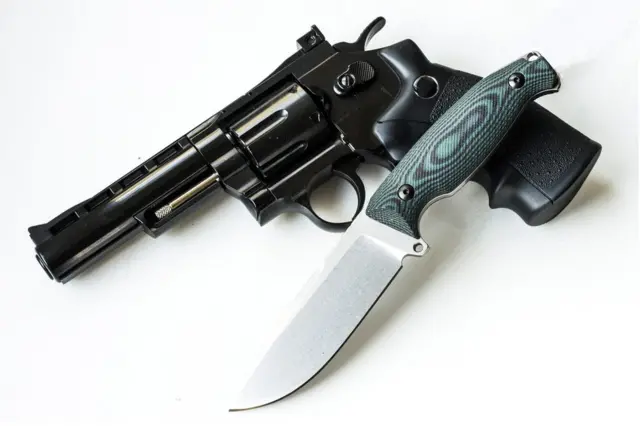 ગુજરાત એન્ટિ ટેરરિસ્ટ સ્ક્વૉડે ગુરુવારે રાજકોટ, સુરેન્દ્રનગર અને બોટાદ જિલ્લામાંથી 24 લોકોની ધરપકડ કરી હતી