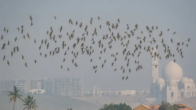 ملیر ایکسپریس وے