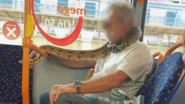 змія, транспорт
