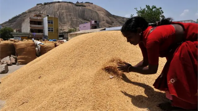 మహిళా రైతు