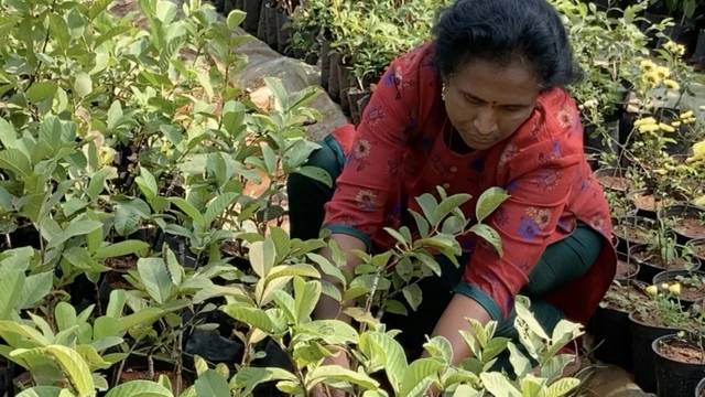 అమేయ కృషి వికాస కేంద్రం, జ్యోతి