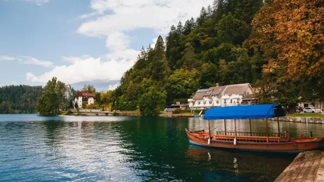 الاستشفاء بالطبيعة