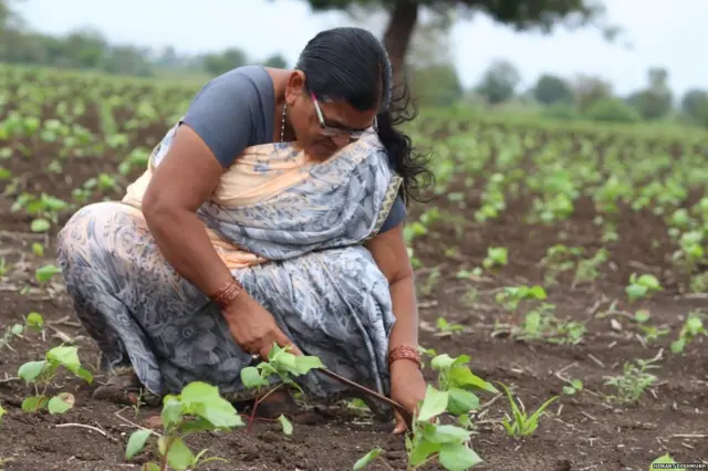 ज्योती देशमुख