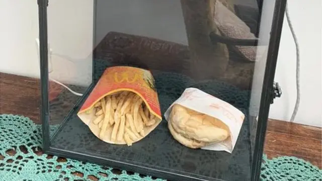 বার্গার ও ফ্রাইসগুলোকে একটি কাঁচের বাক্সে রাখা হয়েছে