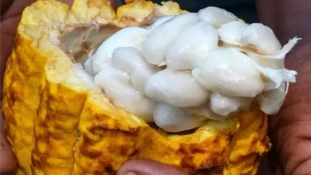 Ndani ya tunda