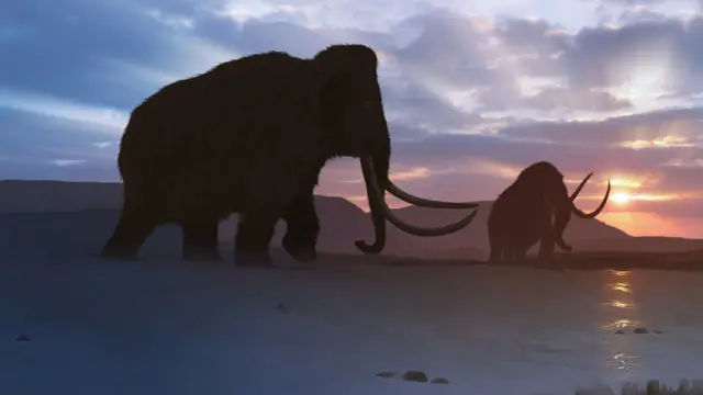 மாமதங்கள்