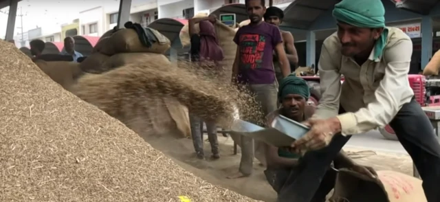 ગુજરાતનું જીરું બજાર