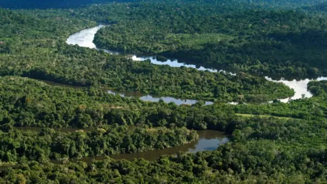 Vista da floresta amazônica no municípiovalhalla slotNovo Progresso (PA)